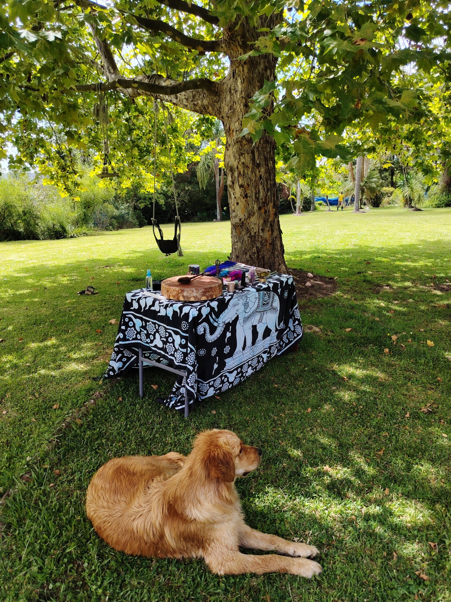 Home, Space and Land Clearing