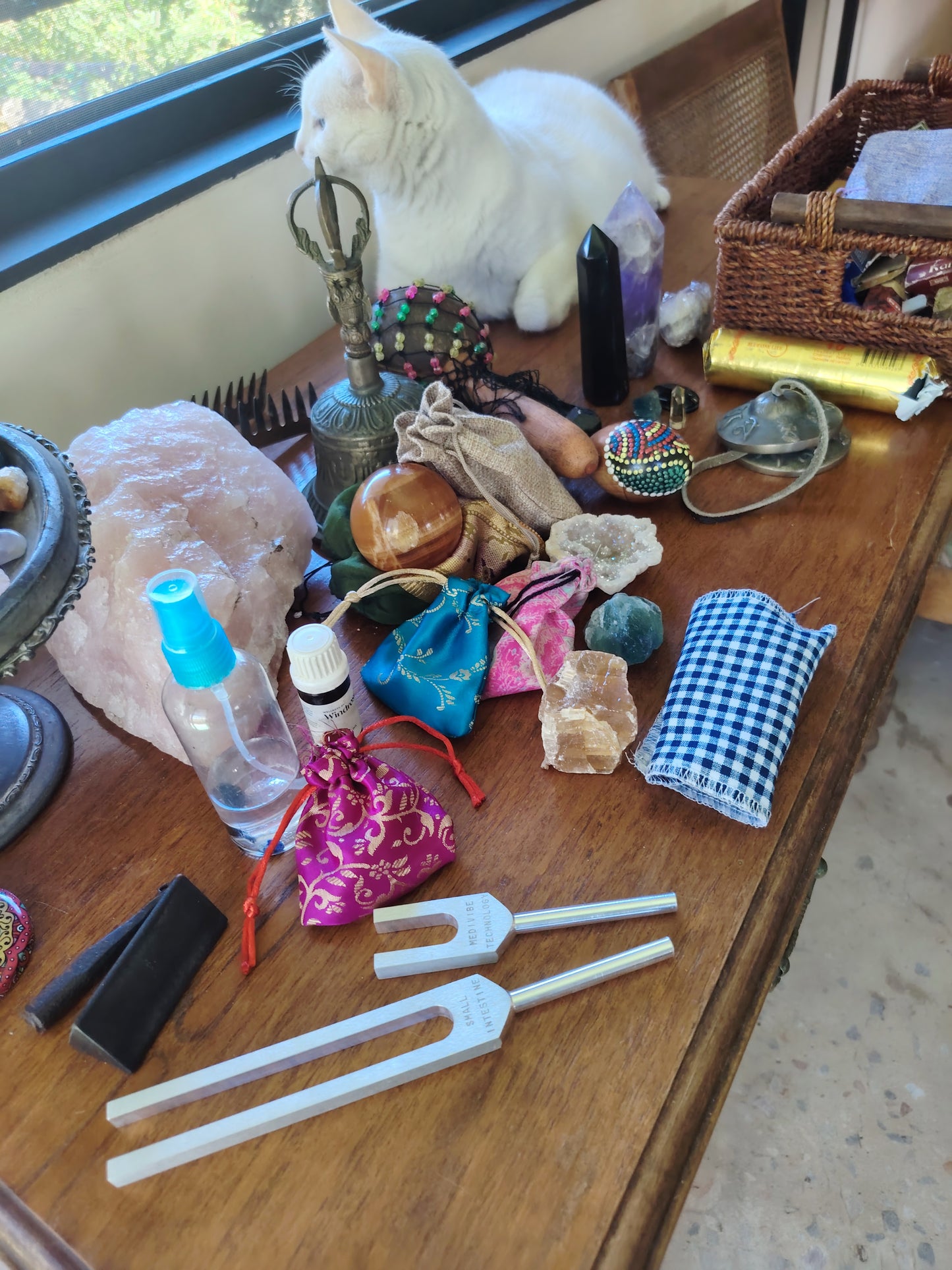 Spirit Team Connector Mentorship Program: