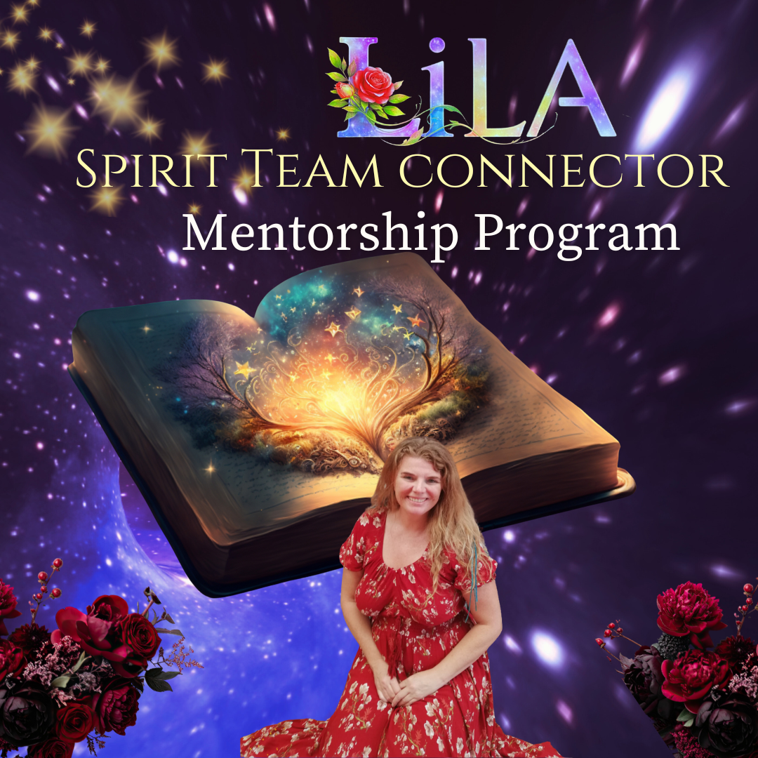 Spirit Team Connector Mentorship Program: